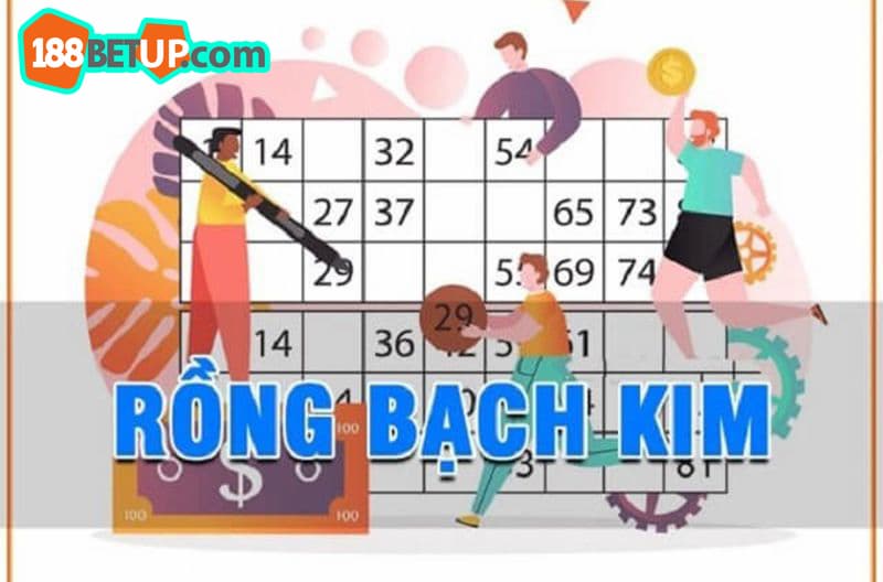 Bí kíp soi cầu rồng bạch kim