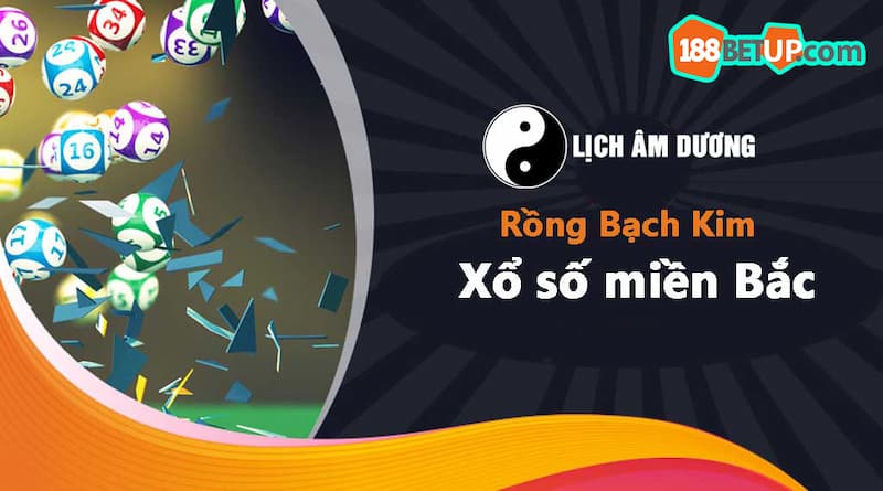 Cầu rồng bạch kim được ưa thích