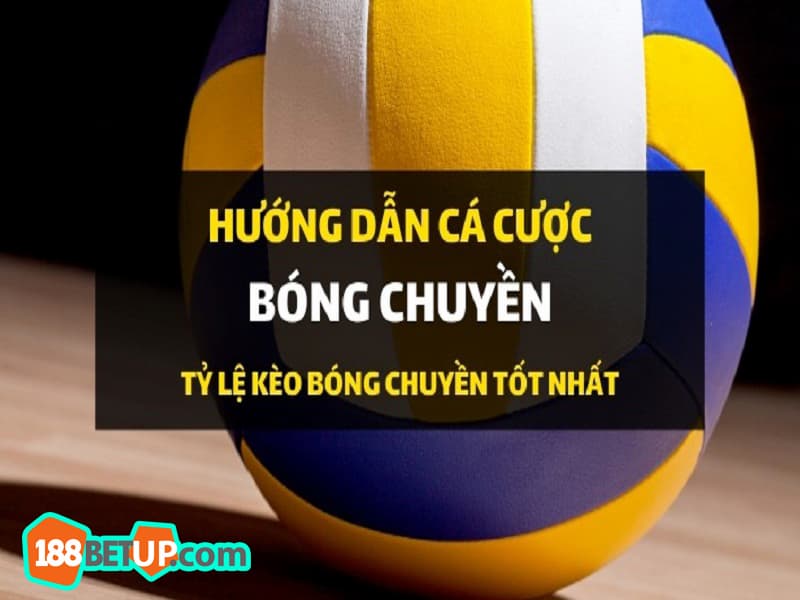 Những lưu ý giúp cược bóng chuyền luôn thắng